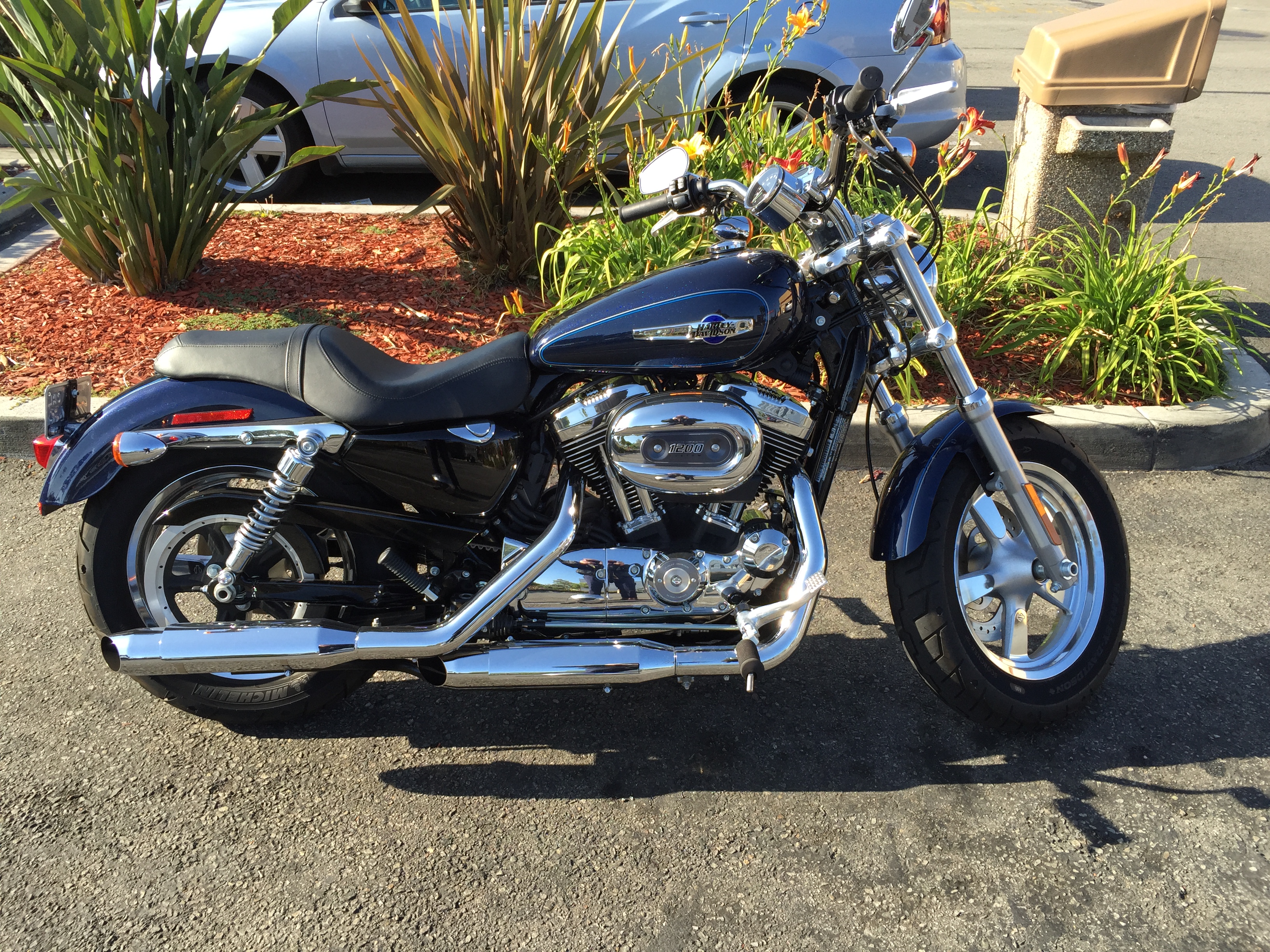 Harley