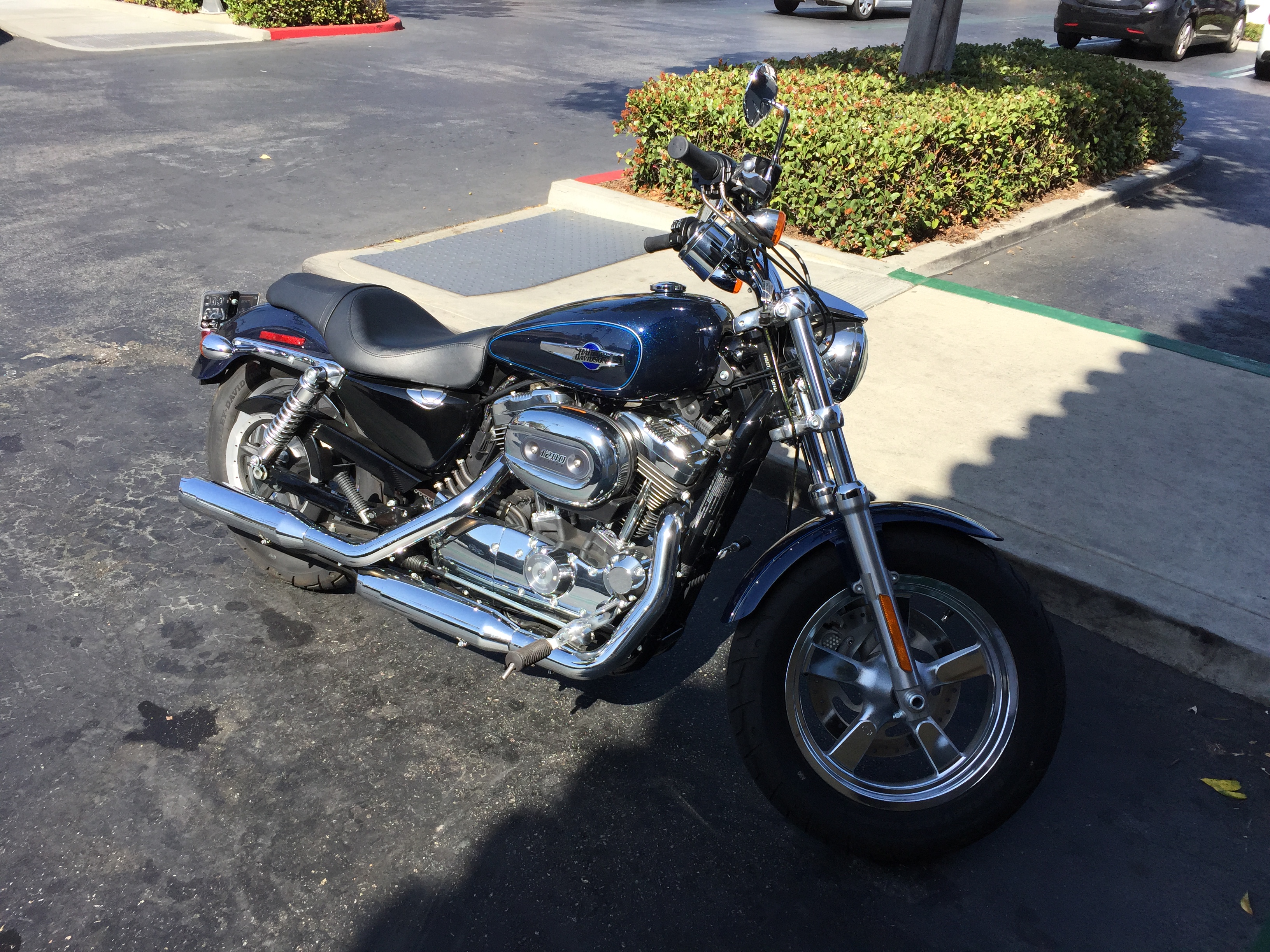 Harley